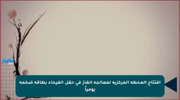 افتتاح المحطة المركزية لمعالجة الغاز في حقل الفيحاء بطاقة ضخمة يومياً